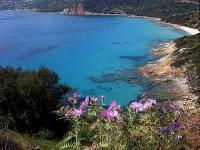 appartement locations de vacances ajaccio